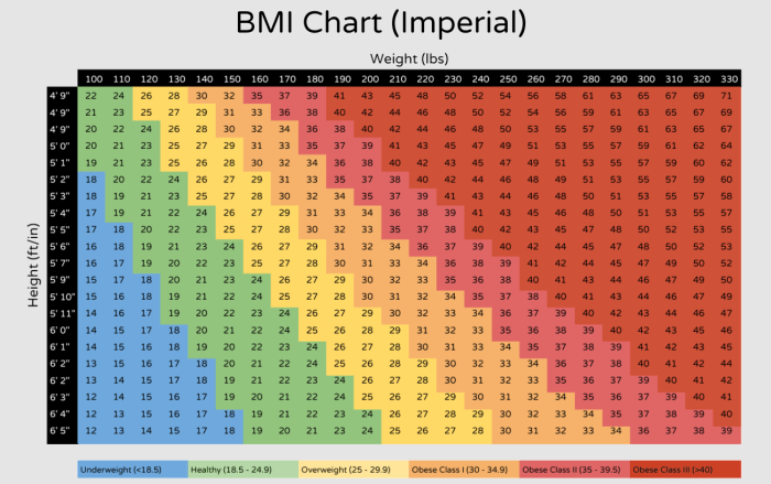 Bmi ernährungs docs frauen