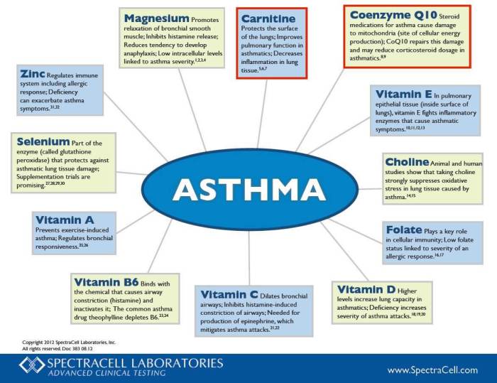 Asthma und ernährungs docs