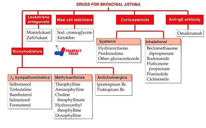 Buch ernährungs docs asthma bronchiale